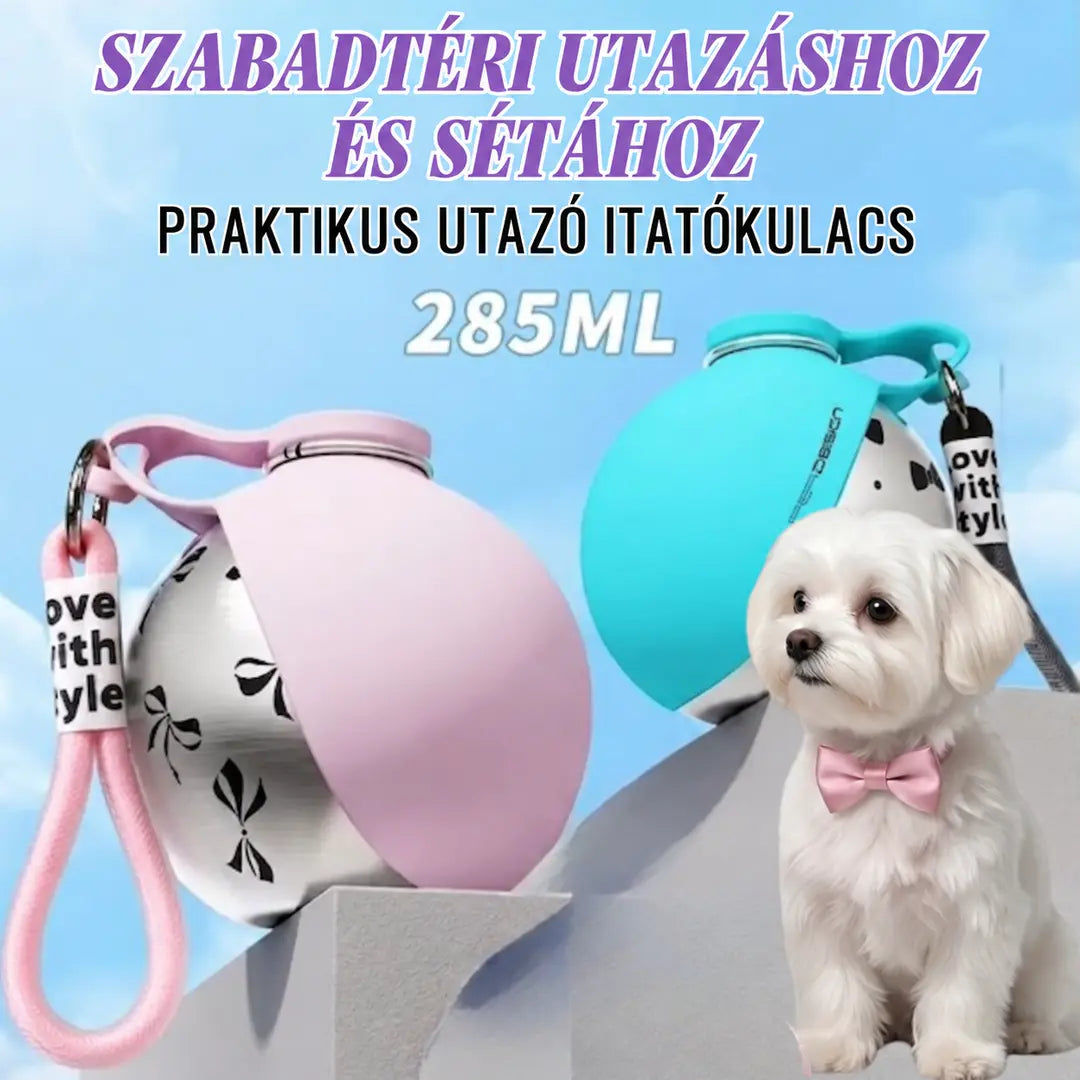 Karabineres kulacs és itatótál kutyáknak – praktikus útitárs sétákhoz