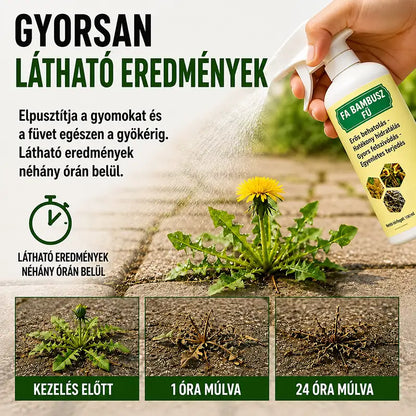 🔥 2026-OS AKCIÓ – Gyorsan ható, természetes gyom- és fűirtó spray