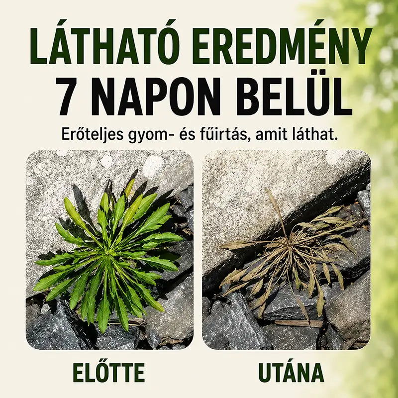 🔥 2026-OS AKCIÓ – Gyorsan ható, természetes gyom- és fűirtó spray