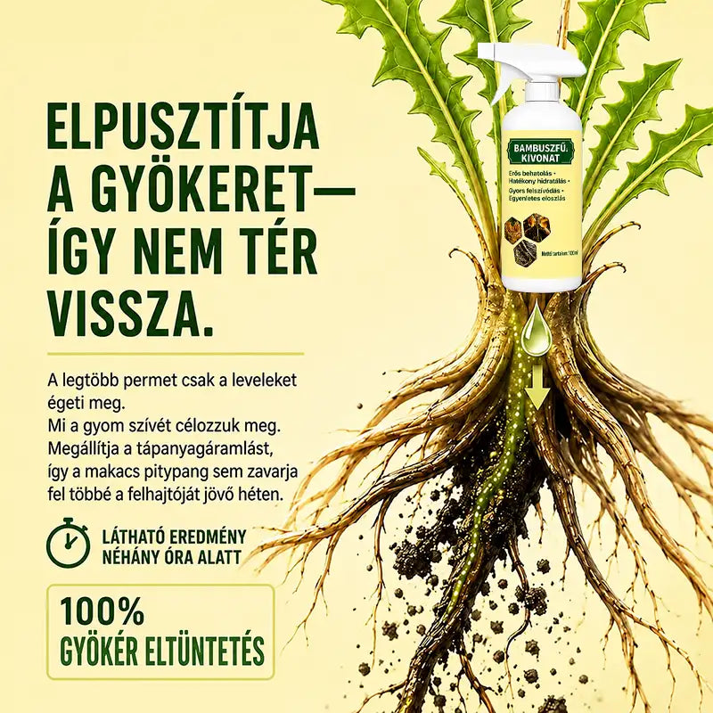 🔥 2026-OS AKCIÓ – Gyorsan ható, természetes gyom- és fűirtó spray