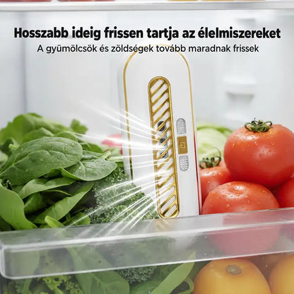 Újratölthető hordozható hűtőszekrény-sterilizáló