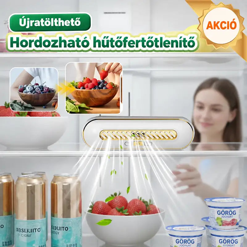 Újratölthető hordozható hűtőszekrény-sterilizáló