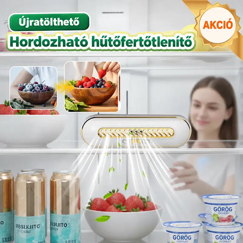 Újratölthető hordozható hűtőszekrény-sterilizáló