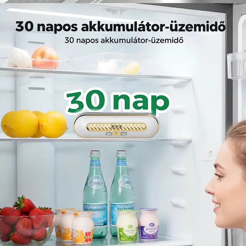Újratölthető hordozható hűtőszekrény-sterilizáló