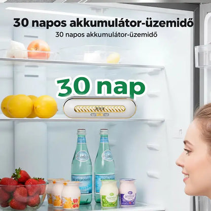 Újratölthető hordozható hűtőszekrény-sterilizáló